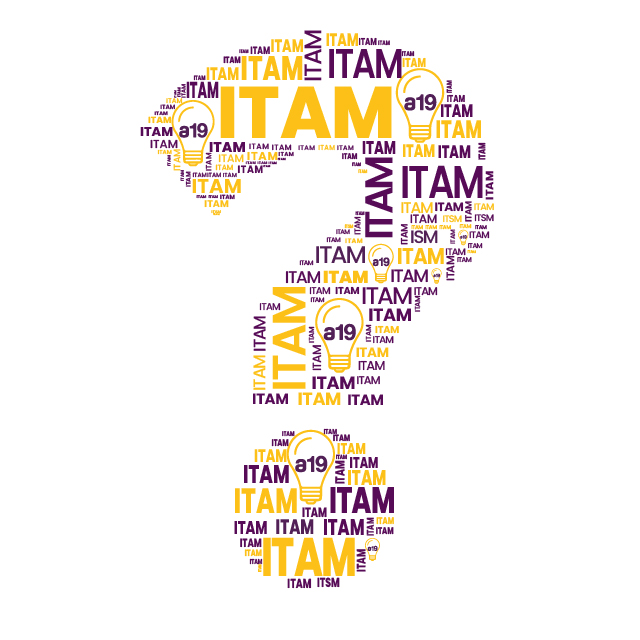 ITAM Ivanti Consultant Developer Contract Freelancer Project Manager Business Partner Ivanti Neurons for ITAM Ivanti Service Manager Ivanti Asset Manager